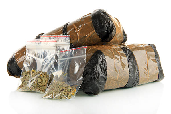 Marijuana Possession, marijuana charges, marijuana bust