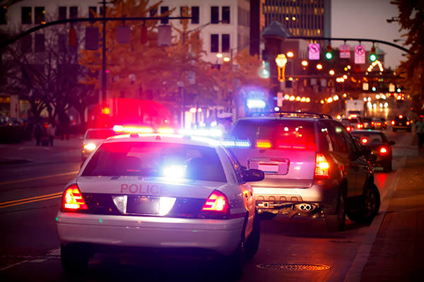 Marijuana Busts