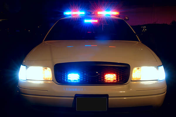 drug busts, marijuana busts, pot busts